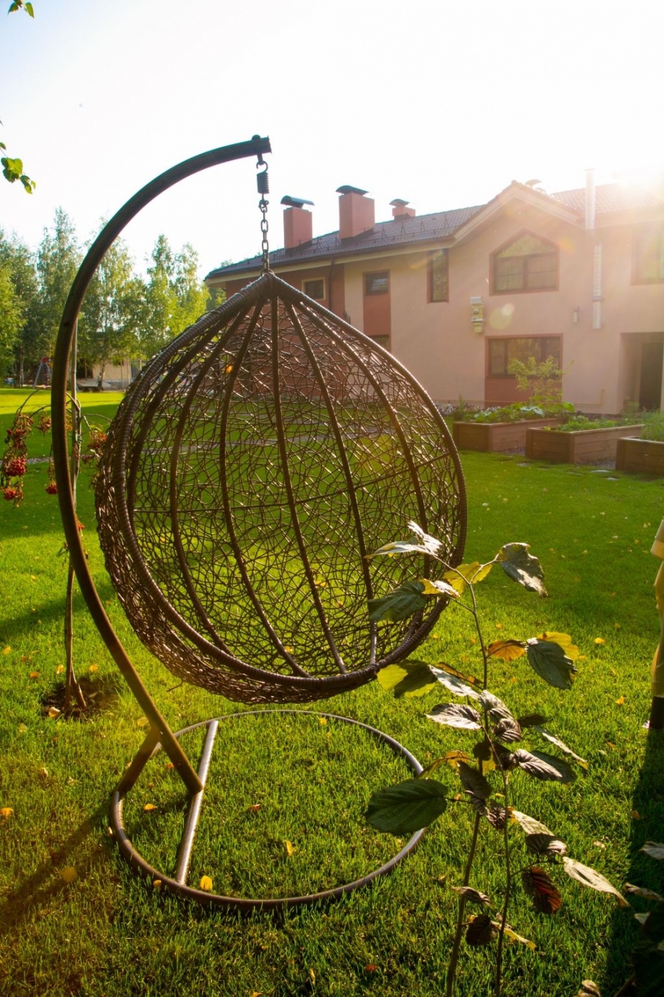 Фото Гнездо