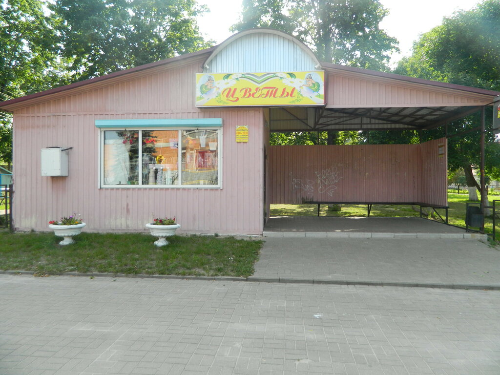 Flower shop Цветы, Unecha, photo