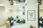 Alliance (Pavlovskaya Street, 18), medical center, clinic