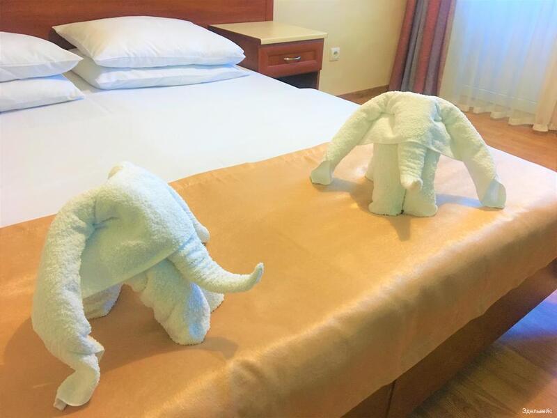 Фото Эдельвейс