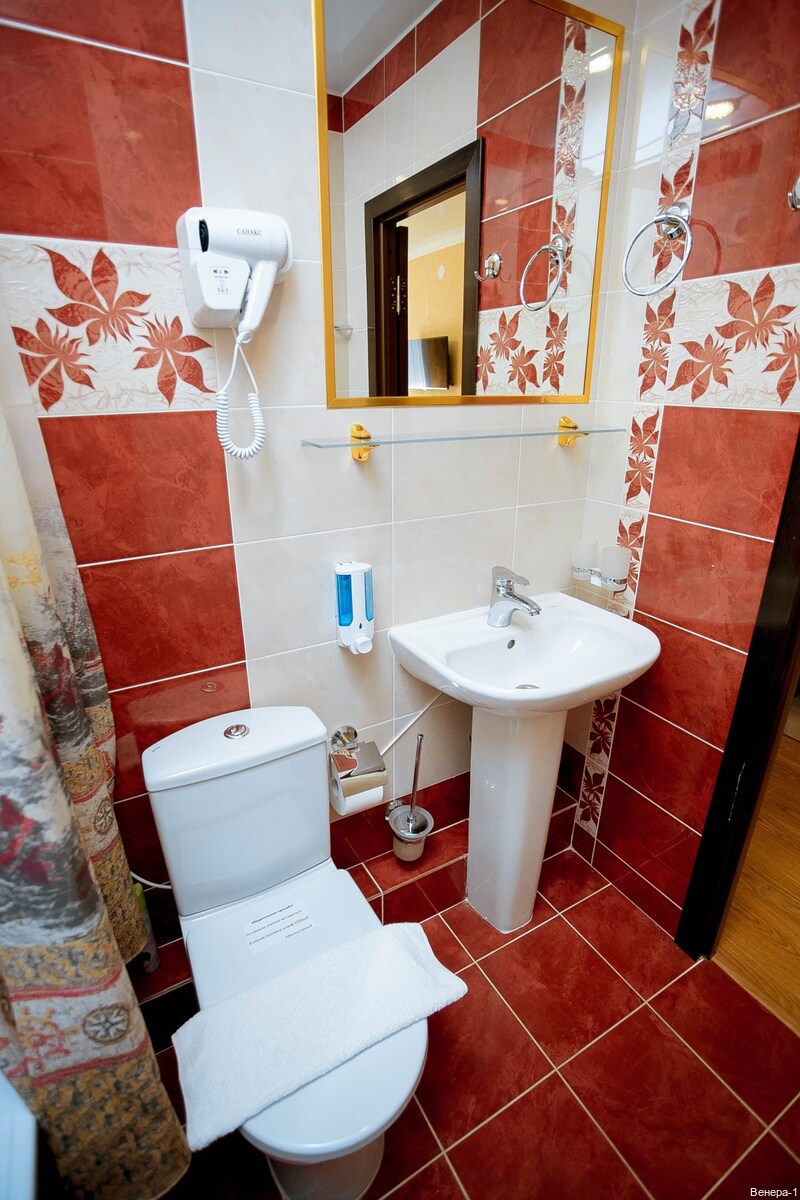 Фото Венера-1