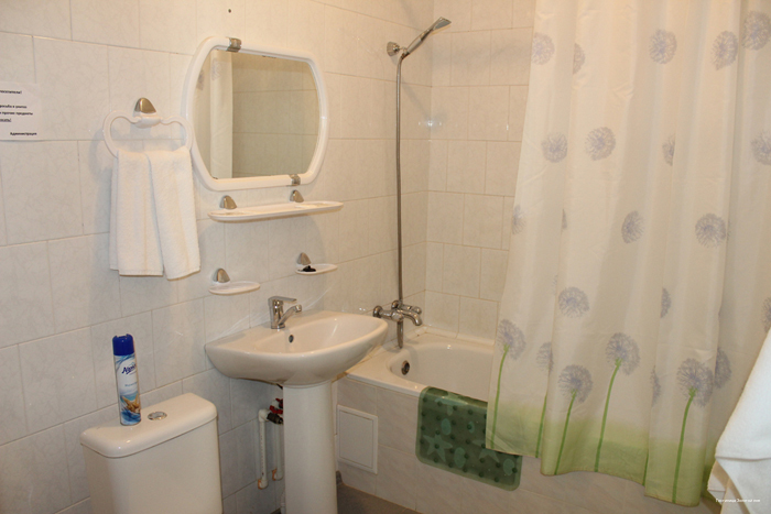 Фото Золотой лев