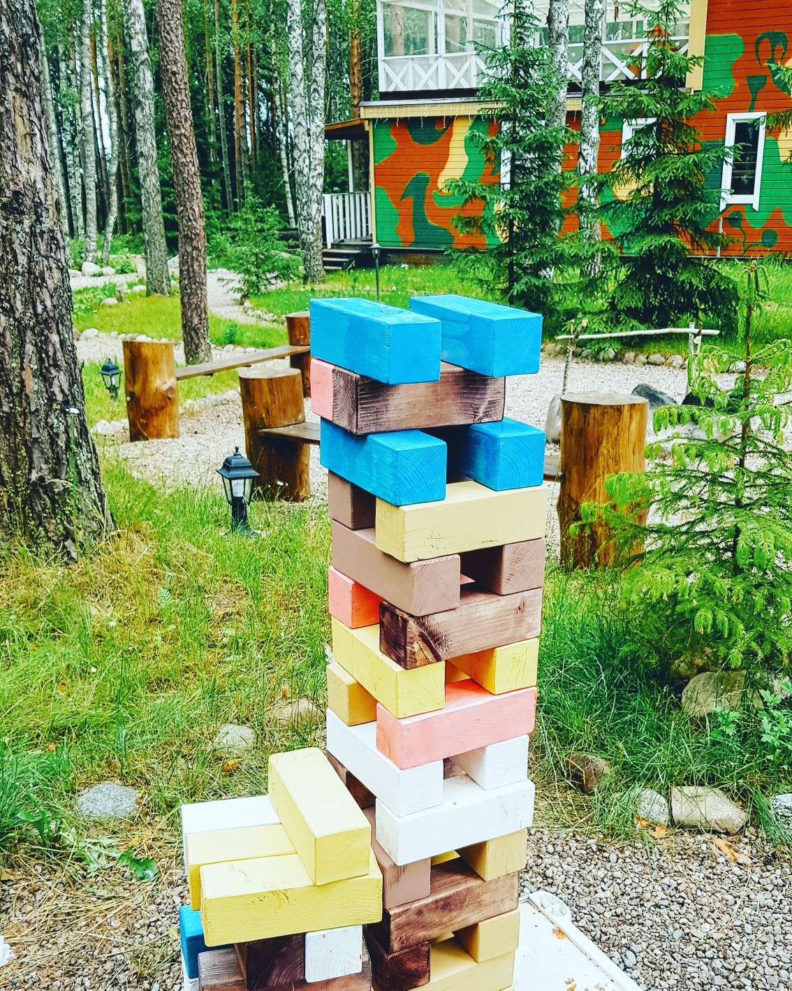 Фото Черная лиса