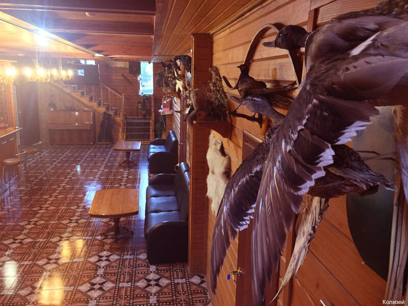 Фото Колизей