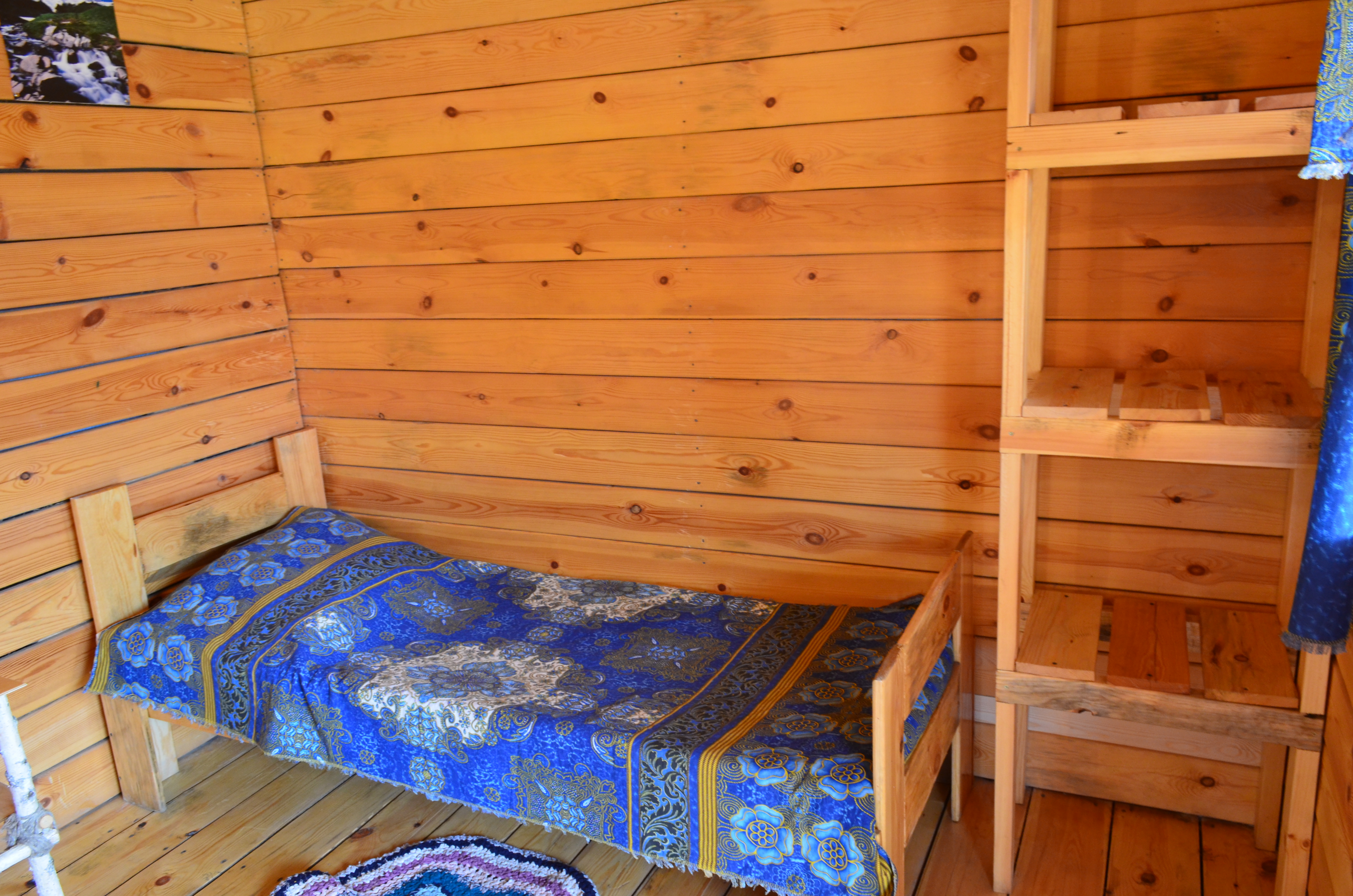 Фото Иволга