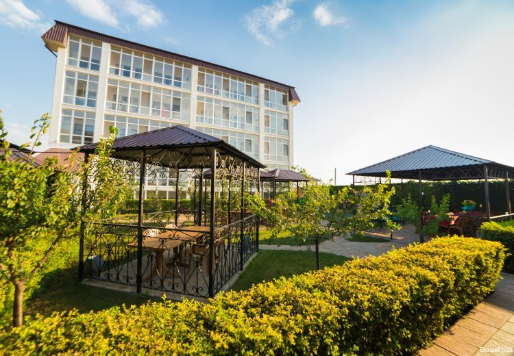 Фото Белый Лев