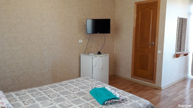 Фото Фортуна