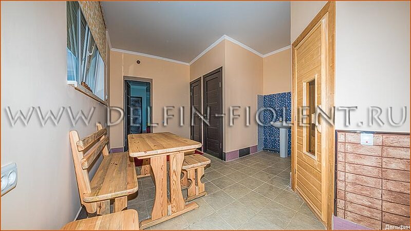 Фото Дельфин