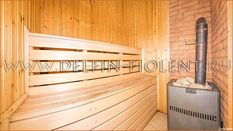 Фото Дельфин