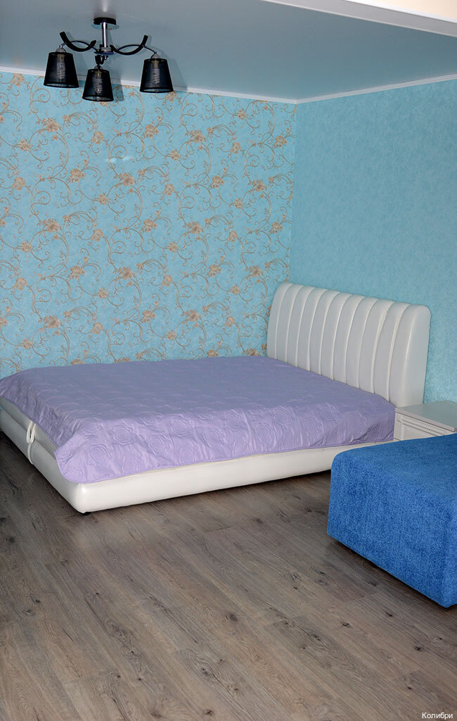 Фото Колибри