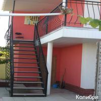 Фото Колибри