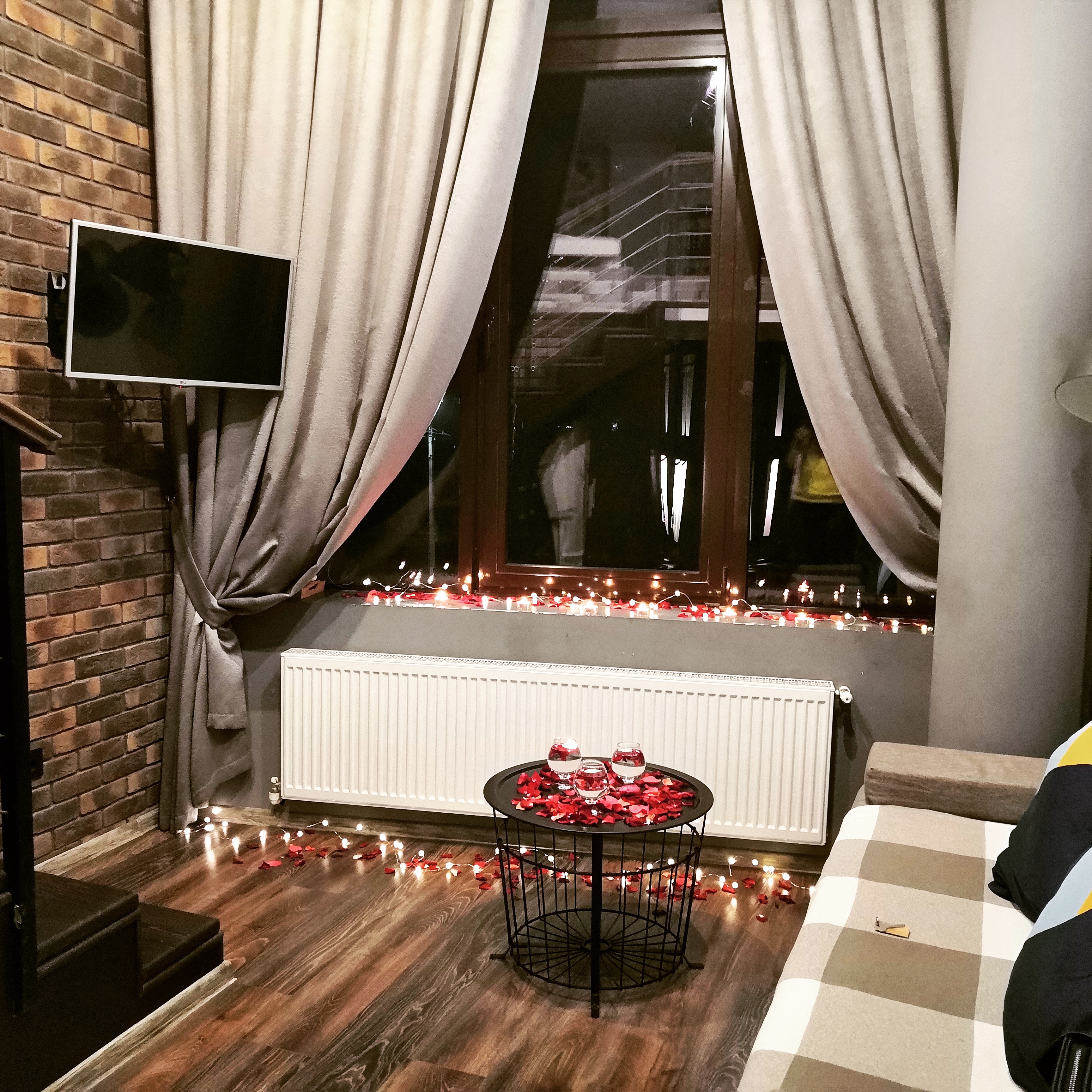 Фото Наутилус