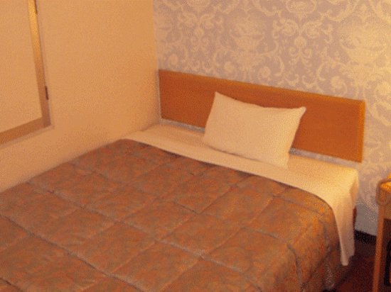 Фото Kawagoe Dai-Ichi Hotel