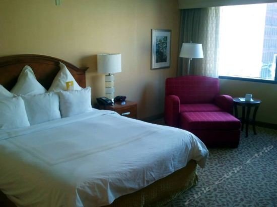 Фото SpringHill Suites by Marriott Sarasota Bradenton