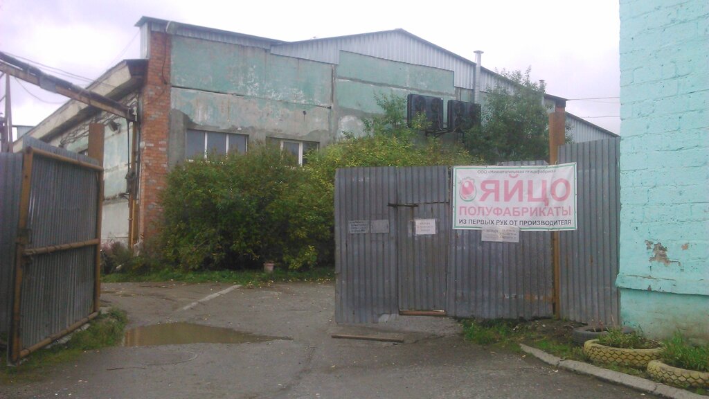 Egg and poultry meat Нижнетагильская птицефабрика, Первоуральский филиал, Pervouralsk, photo
