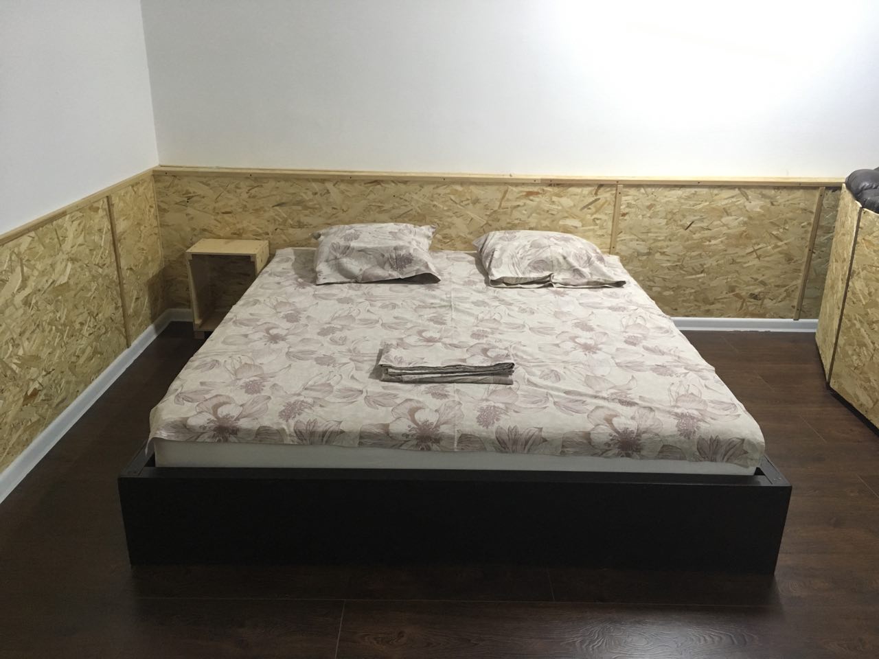 Фото Тополя