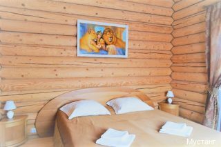 Фото Мустанг