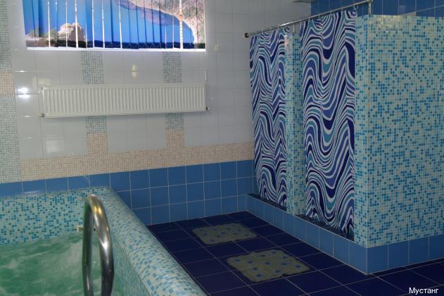 Фото Мустанг