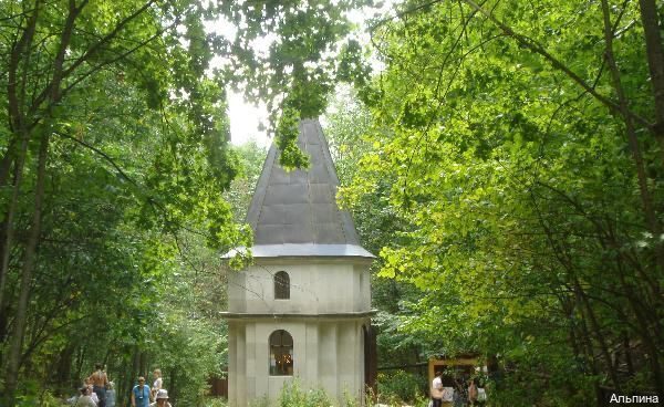 Фото Альпина