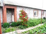 House in Sedovo (selyshche miskoho typu Siedove, vulytsia Boldyreva, 5), hotel
