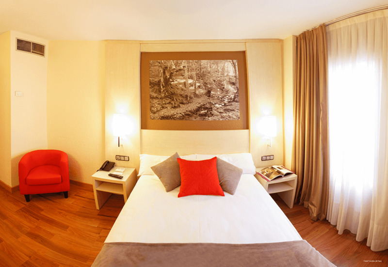 Фото Hotel Condes de Haro