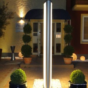 Фото The niu Sparrow