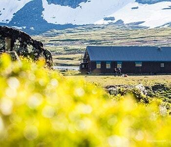 Гостиница Abisko Turiststation Stf