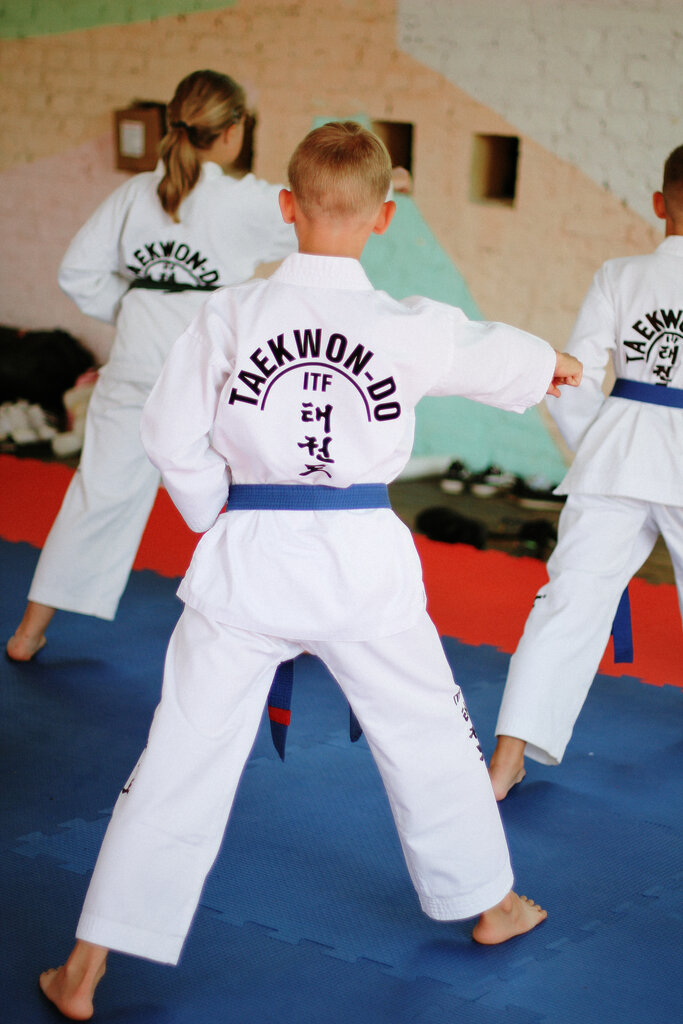 Sports school Taekwondo Tula, Tula, photo
