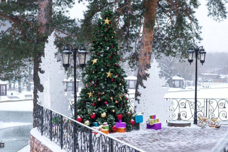 Фото ЗаВидное