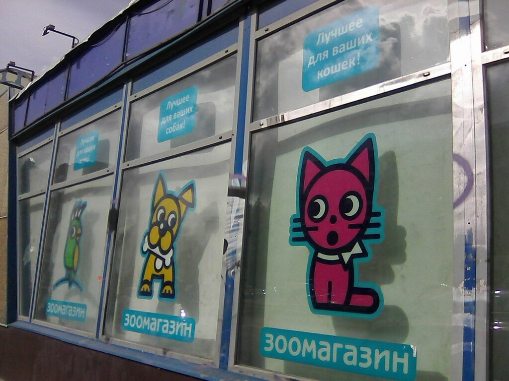 Магазин Золотая Рыбка Спб