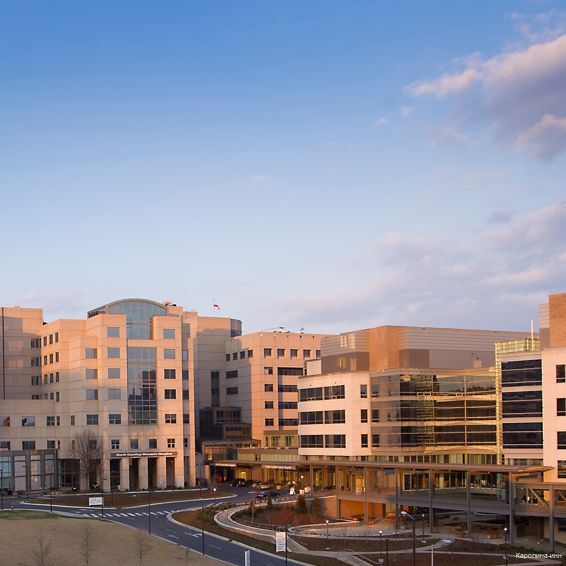 Фото The Carolina Inn, a Destination by Hyatt Hotel