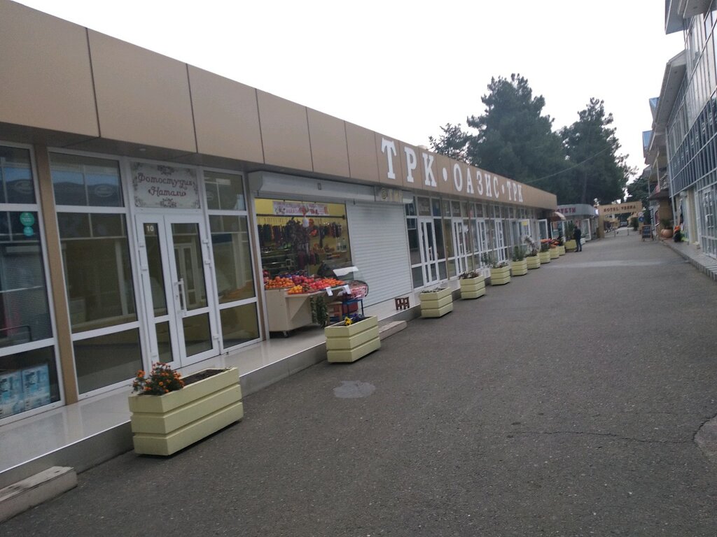 Карта ленина 219 адлер