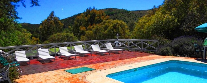 Фото Meson del Alferez Coatepec