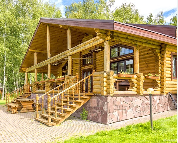 Фото Белая цапля