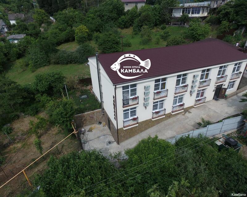 Фото Камбала