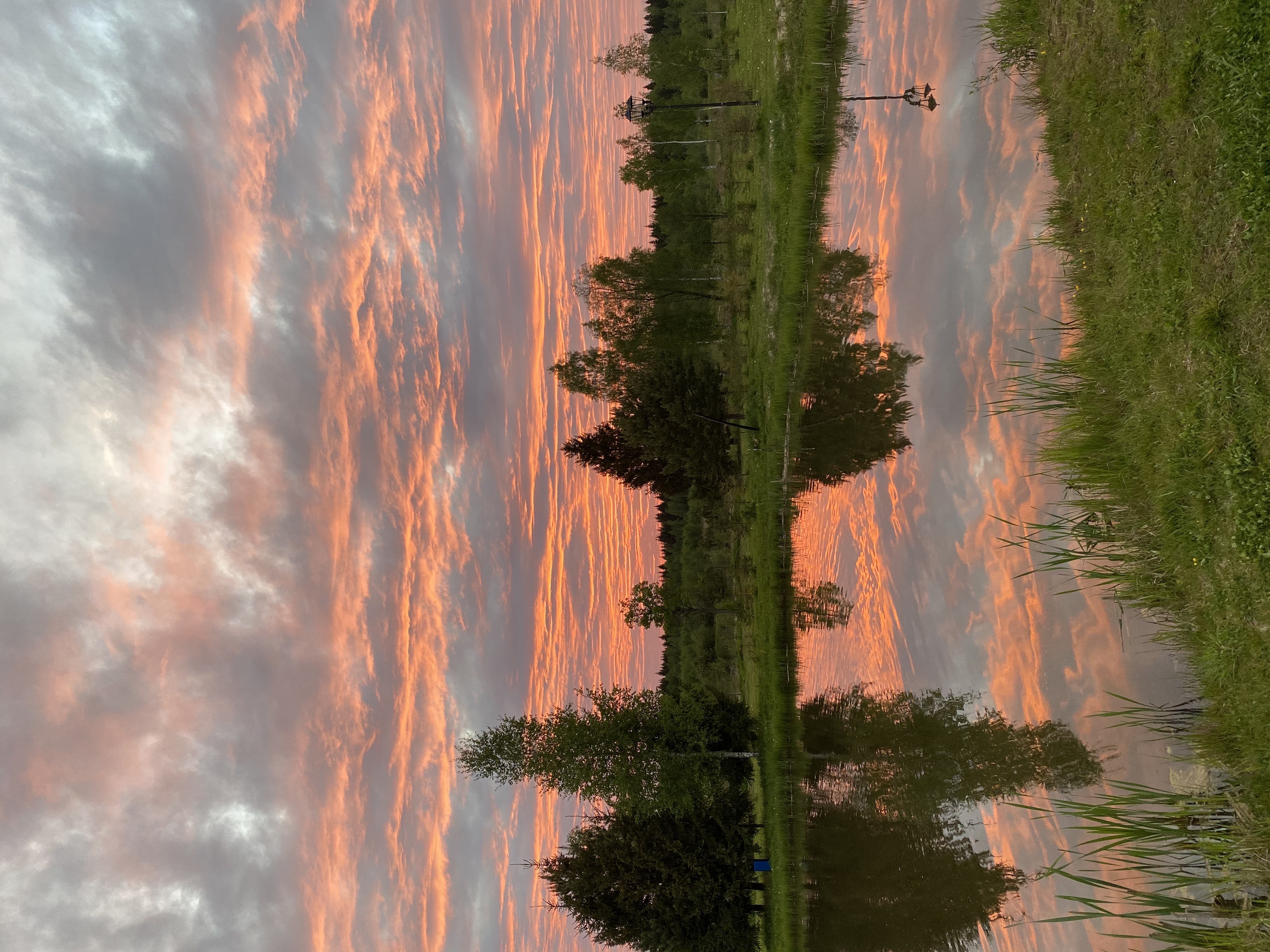 Фото Новинки Парк