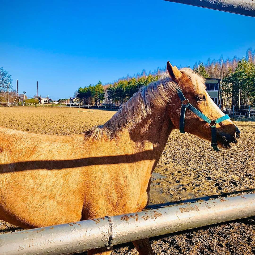 Фото Санаторий имени В. И. Ленина