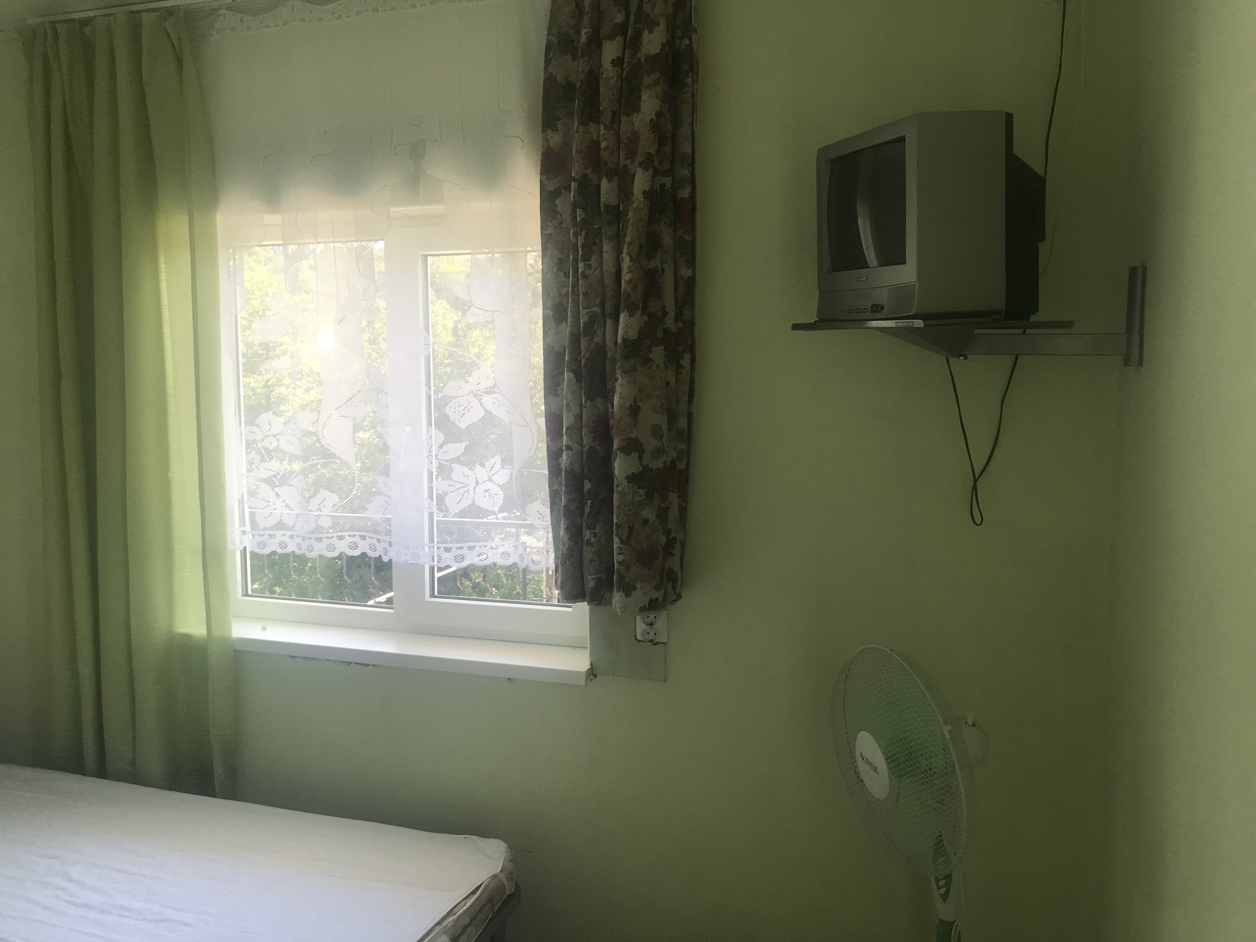 Фото Резеда