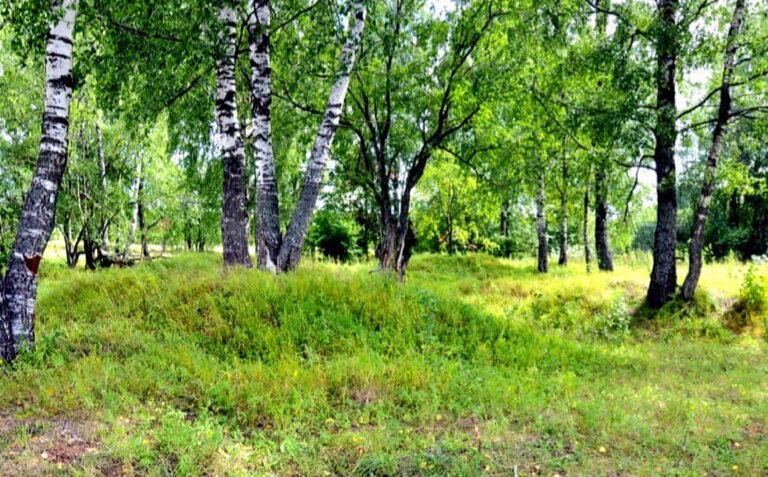 Nature Роща с древними сопками-курганами Священная роща, Saint‑Petersburg and Leningrad Oblast, photo