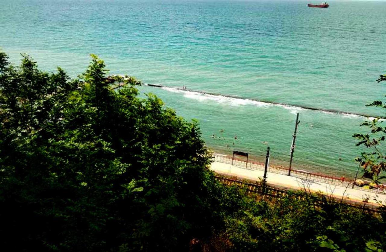 Фото Галина-чайка