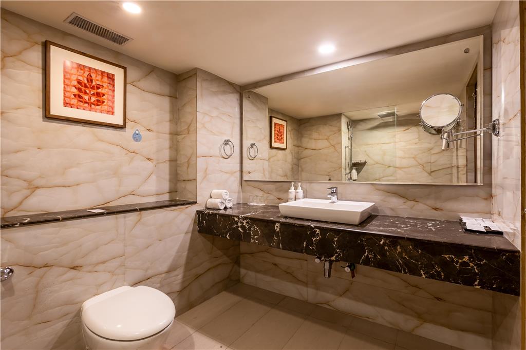 Фото Radisson Srinagar