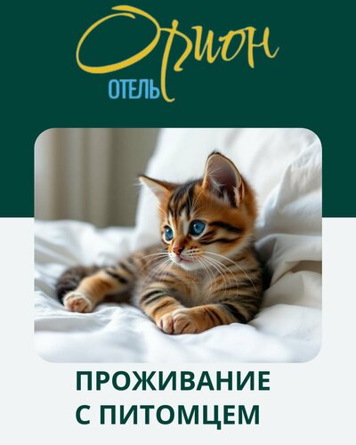 Гостиница Орион в Дзержинском