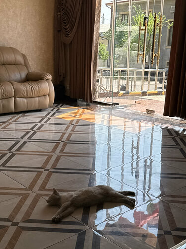 Гостиница Eco Boutique Hotel в Ташкенте
