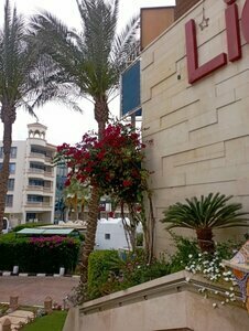 Гостиница Lido Sharm Hotel в Наама Бей