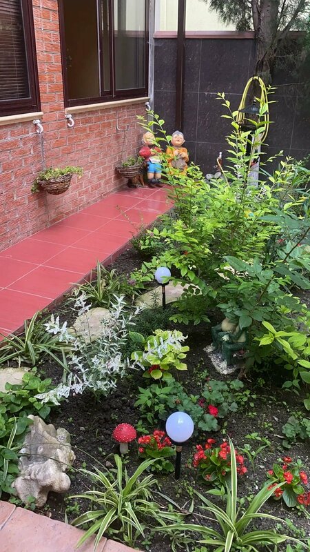 Пальма — фото 6