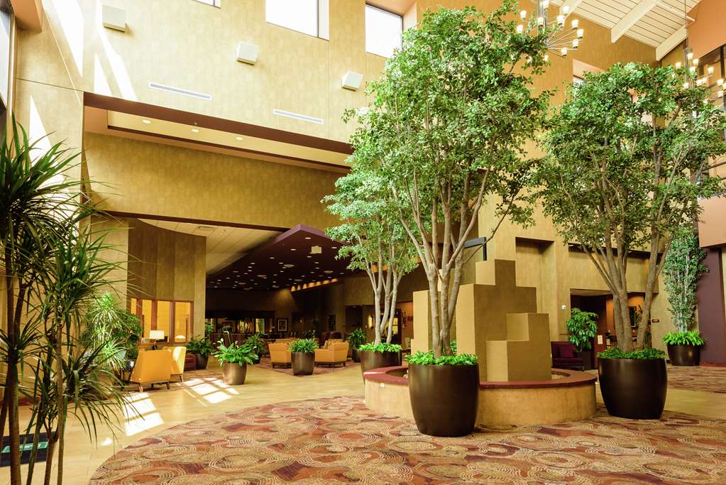 Фото Embassy Suites by Hilton Minneapolis North