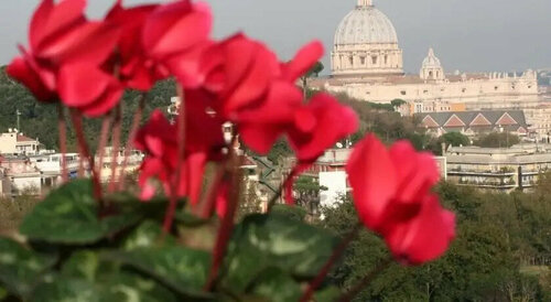 Casa Vacanze La Terrazza Su San Pietro
