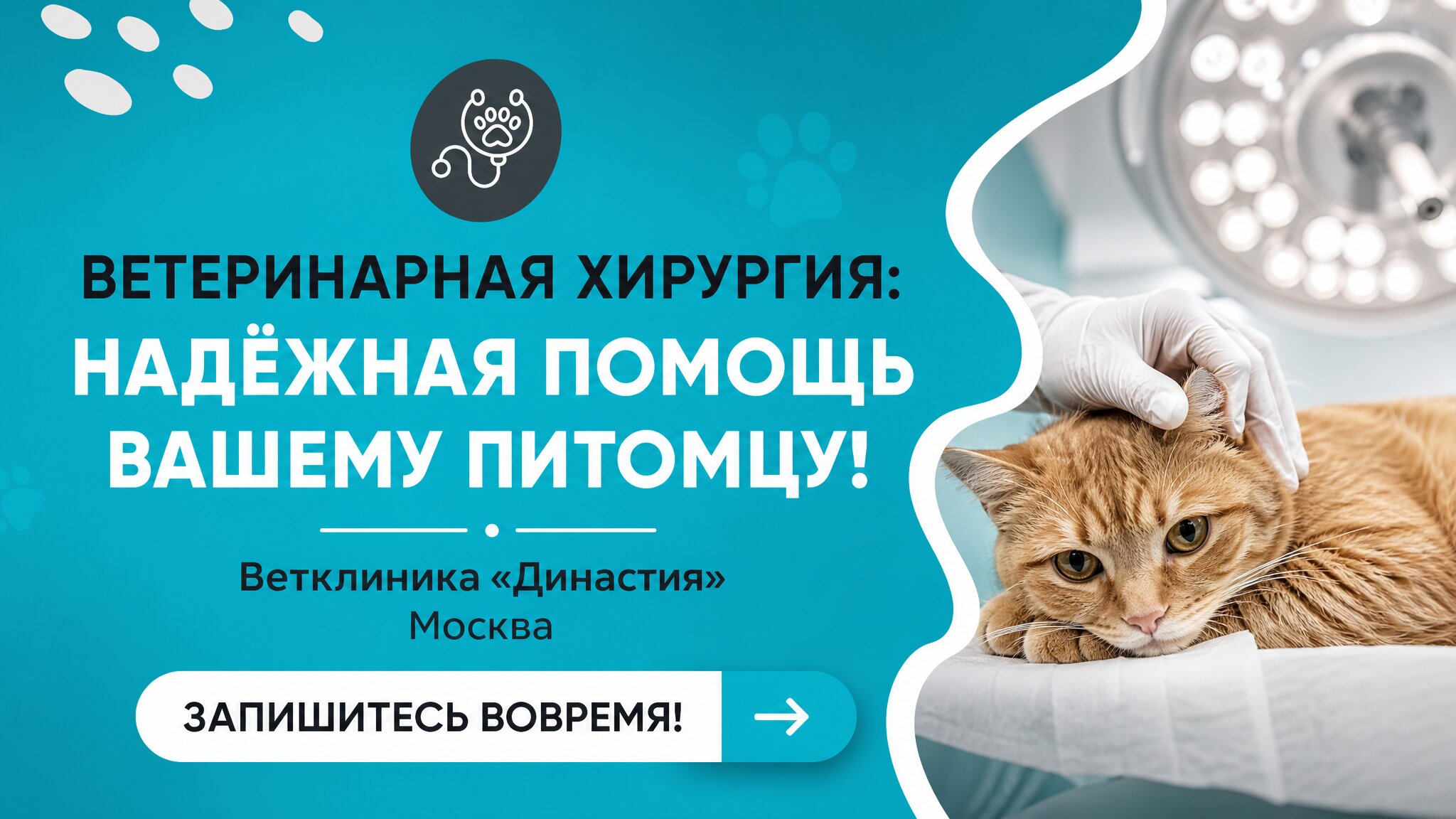 Династия - фото 1