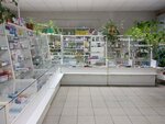 Аптека (Leningrad Region, Volosovskiy rayon, derevnya Begunitsy), pharmacy