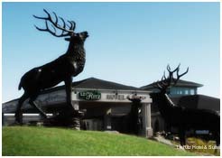 Фото Le Ritz Hotel and Suites